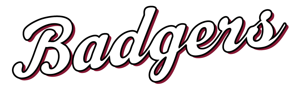 Bayonne Badgers